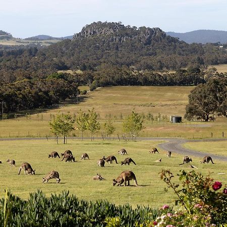 Hanging Rock Views Woodend Εξωτερικό φωτογραφία