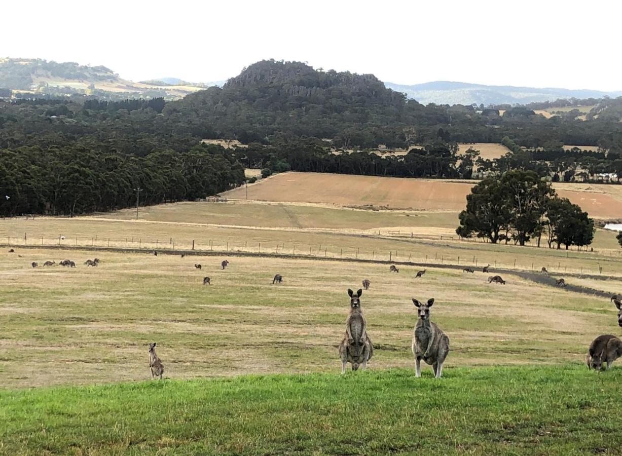 Hanging Rock Views Woodend Εξωτερικό φωτογραφία