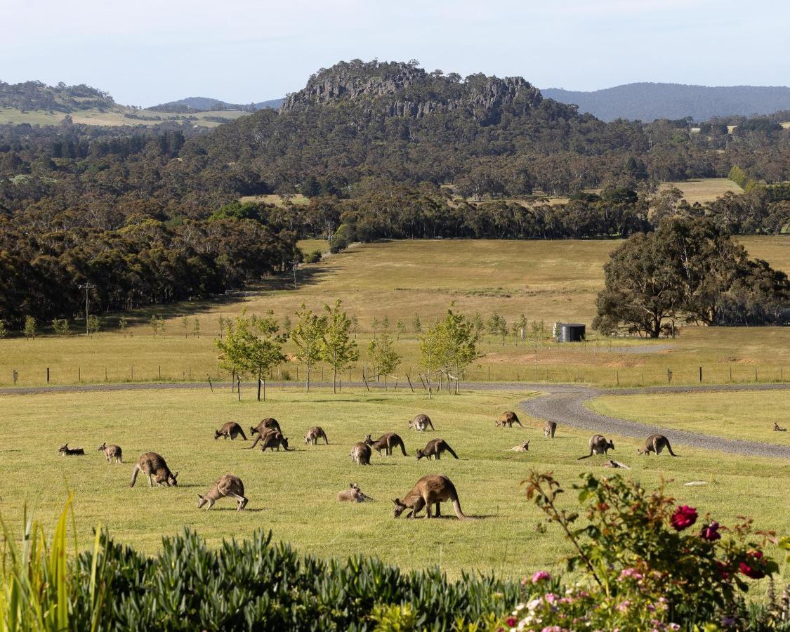Hanging Rock Views Woodend Εξωτερικό φωτογραφία